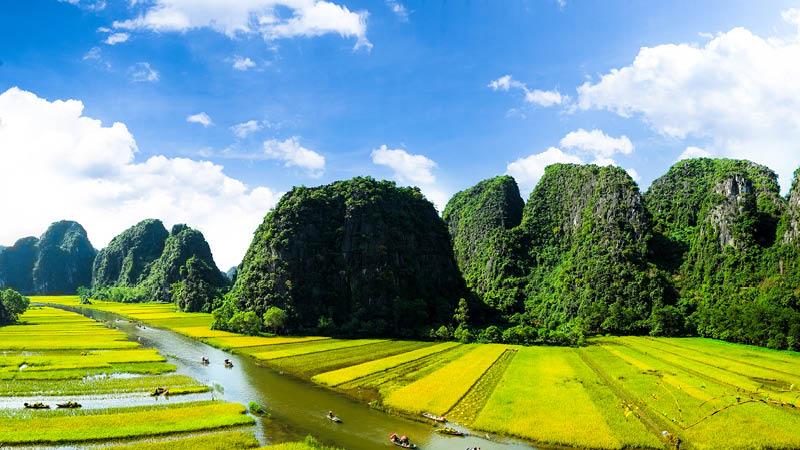 Gröna risfält och berg i Ninh binh, Vietnam.